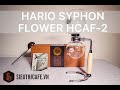 Hario syphon flower hcaf2 limited edition