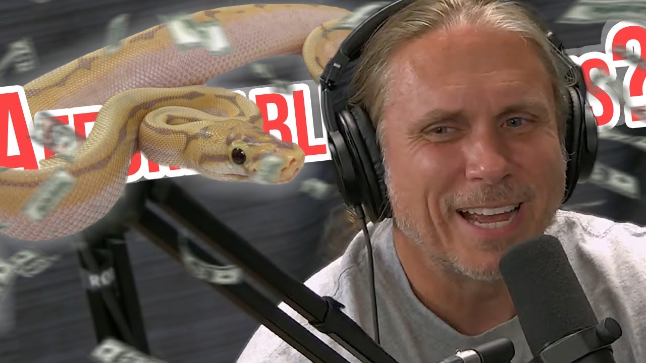 Brian Barczyk answers this Question! "Does Selling Affordable Pythons ...