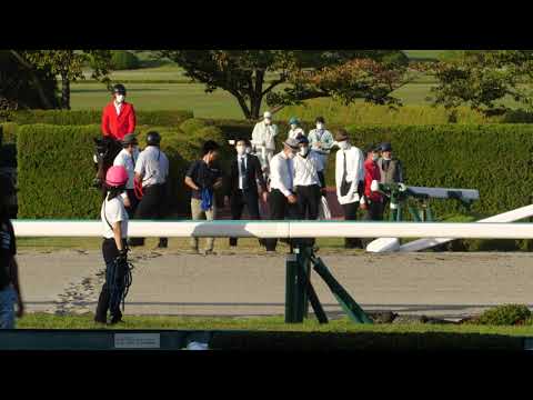 【武豊】メイショウミカワの返し馬撮っていたら今日は大人しかった松山弘平（1番人気ゴールドハイアー）が秋華賞のサウンドビバーチェに続いてラチをぶっ壊す