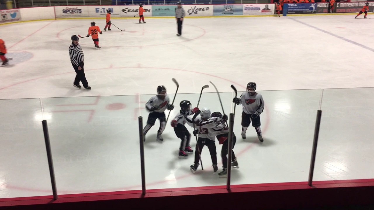 2017 Stars & Stripes AAA Hockey Tournament Minneapolis, MN 2008