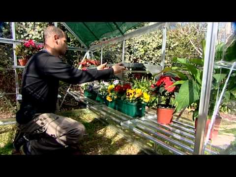 Allotment