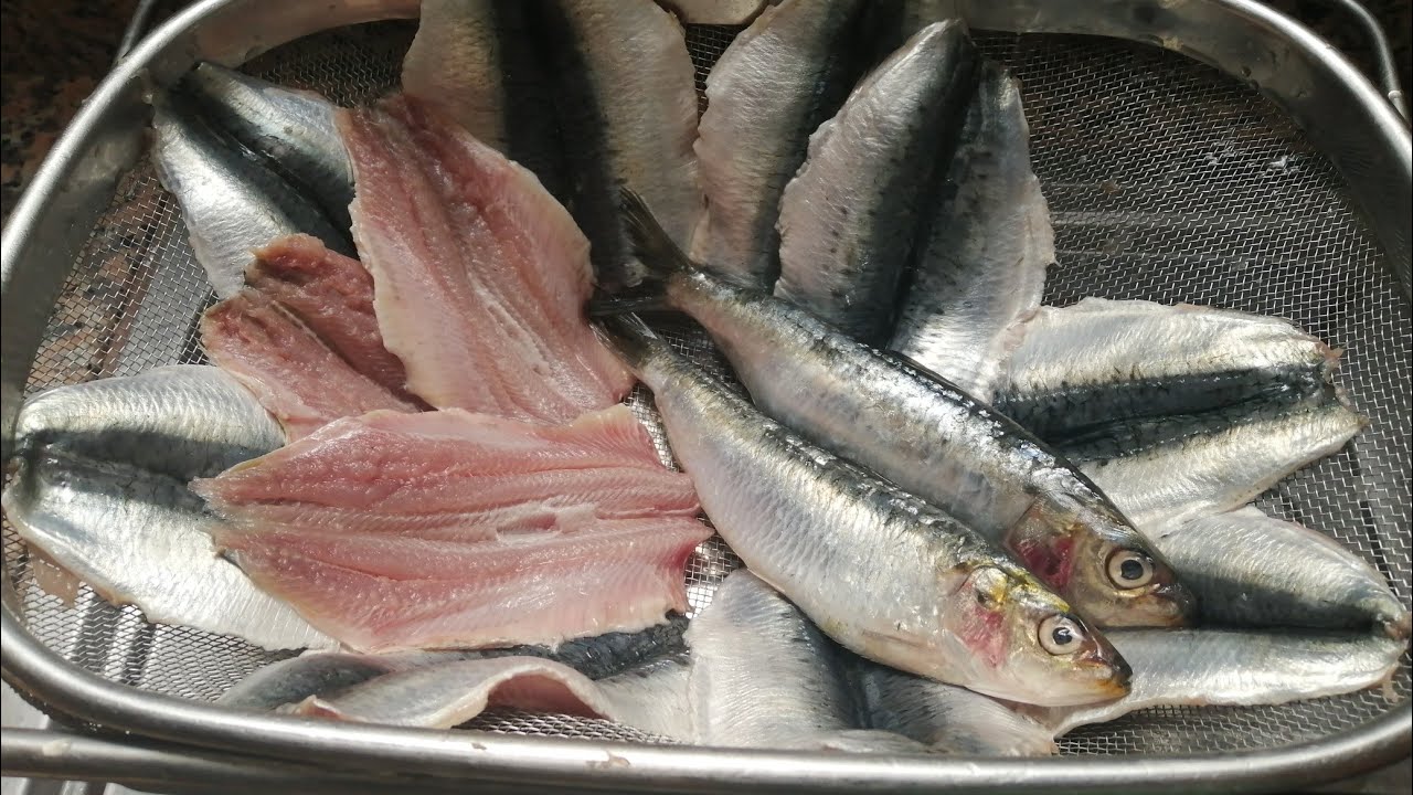 تنظيف السردين بأسهل طريقة مع نصائح كيف نختار سمك طري