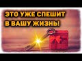 Что вы не ждете, а оно УЖЕ СПЕШИТ в вашу жизнь? Что готовит вам судьба? 🔸 Таро расклад на судьбу!