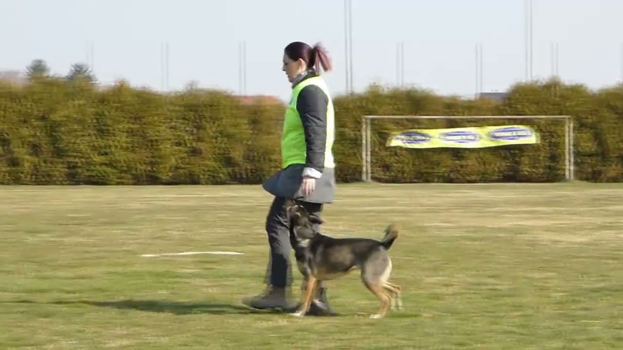 Tina IBgH-1, March 2022