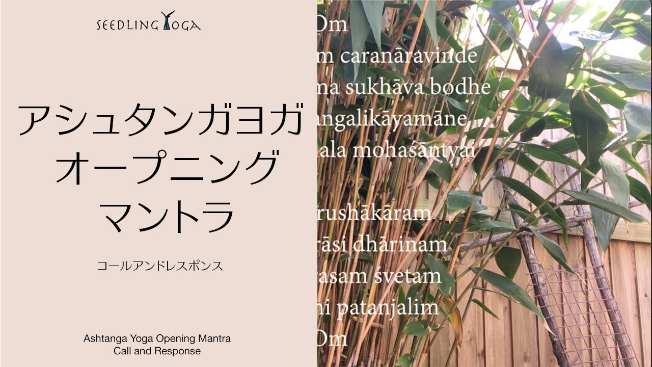 マントラとマントラ音楽のやさしい世界｜響きでととのう、わたしのヨガ時間 | からだカフェ