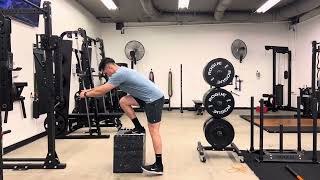 Single Leg Box Step Down