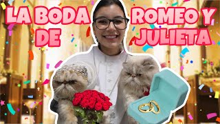 ¡LA BODA DE ROMEO Y JULIETA !👰🤵💍 Mis gatitos se CASARON 😻 - Mascotas en la LULU HOUSE