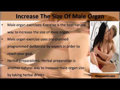 Male Sex Organ Size 93