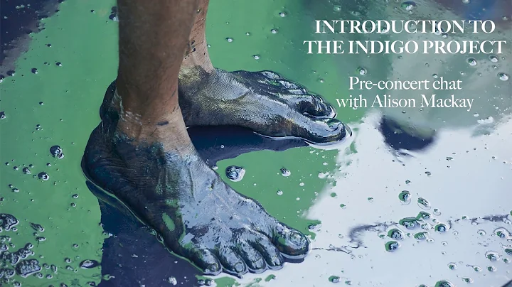 Introduction to The Indigo Project with Alison Mac...