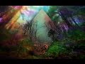 Dark Forest Psy Trance Mix ( DJ Yo Soy )