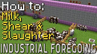 How to: Industrial Foregoing | Husbandry (Minecraft 1.20.1)