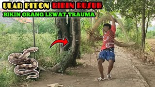 Funny Video || Prank Ular Piton Bikin Rusuh || Paling Laknat Bikin Ngakak 🤣🤣