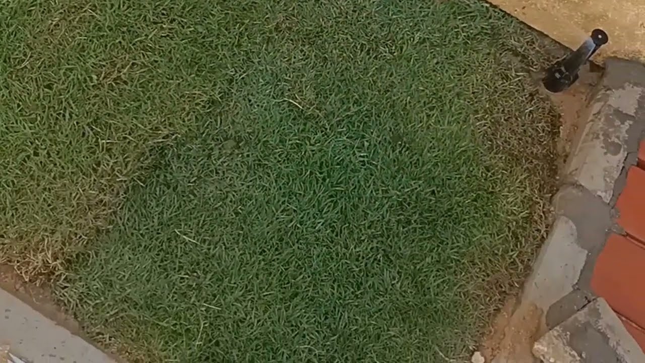 فائدة الرشاش الشريحة في شبكة الري