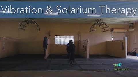 Equine Performance Center Tour