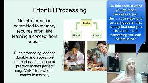 Encoding Flipped Notes Part One for AP Psychology by Mandy Rice