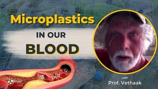 Our Blood, Microplastics, Polyester Fibers, & Fashion: Deep Dive With Professor Dick Vethaak