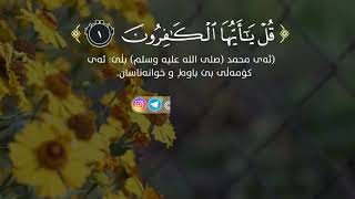 سورة الكافرون .....القارئ بيشه قادر الكردي