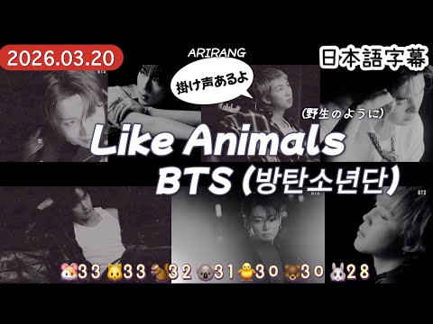 【Like Animals】BTS 和訳/カナルビ/掛け声