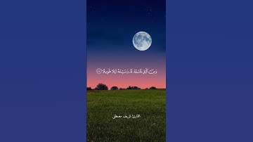 واذكر اسم ربك بكرة وأصيلا - القارئ : شريف مصطفى - سورة الانسان #شريف_مصطفى