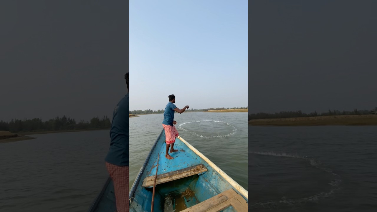 Viral fish catching video&hellip;#fish #catchingfish  #fishvideo #shorts