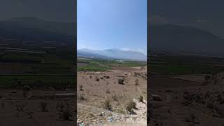 Ne Biçim Serseriyim Resimi