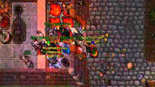 mtibia.cl 2011 green tree again