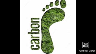 Best Ever Climate Change Tackling Tips By NextGen Global Citizens