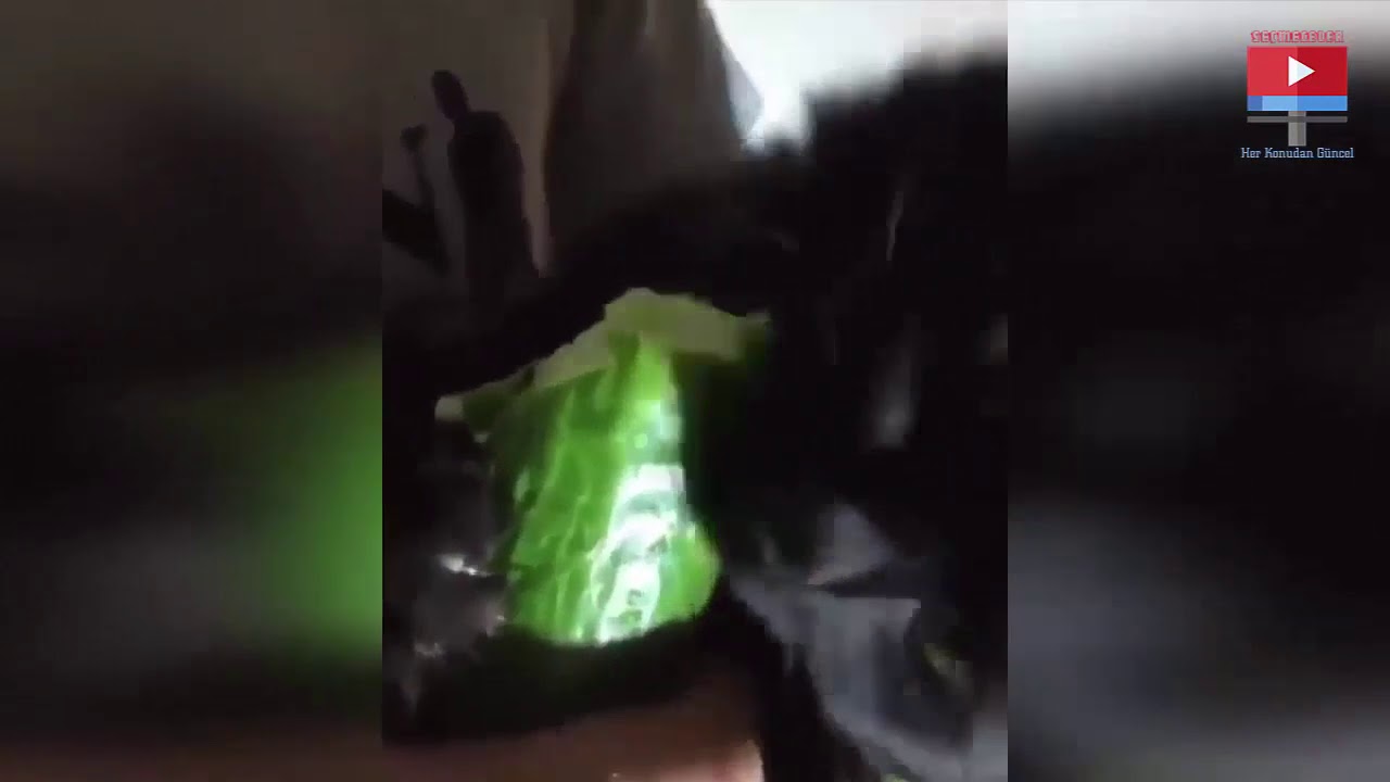 Salatalık Yiyen Kedi YouTube