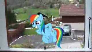 An unexpected visit from Rainbow Dash (MLP in real life)