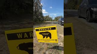 🚨🐻 BEAR ALERT: HIGH ACTIVITY in Marion County! 🐻🚨