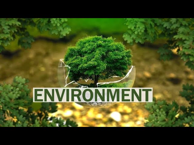 Environment chapter:5 part:A subpart:1 CHN BSN Second semester kmu slides in pashto #kmupdates