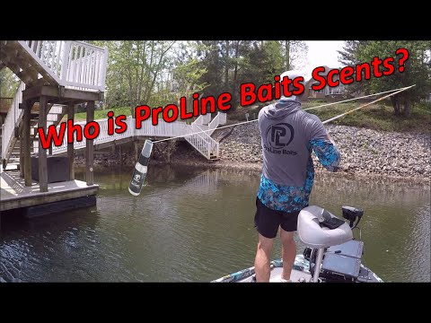 Who is Proline Baits!!!! 