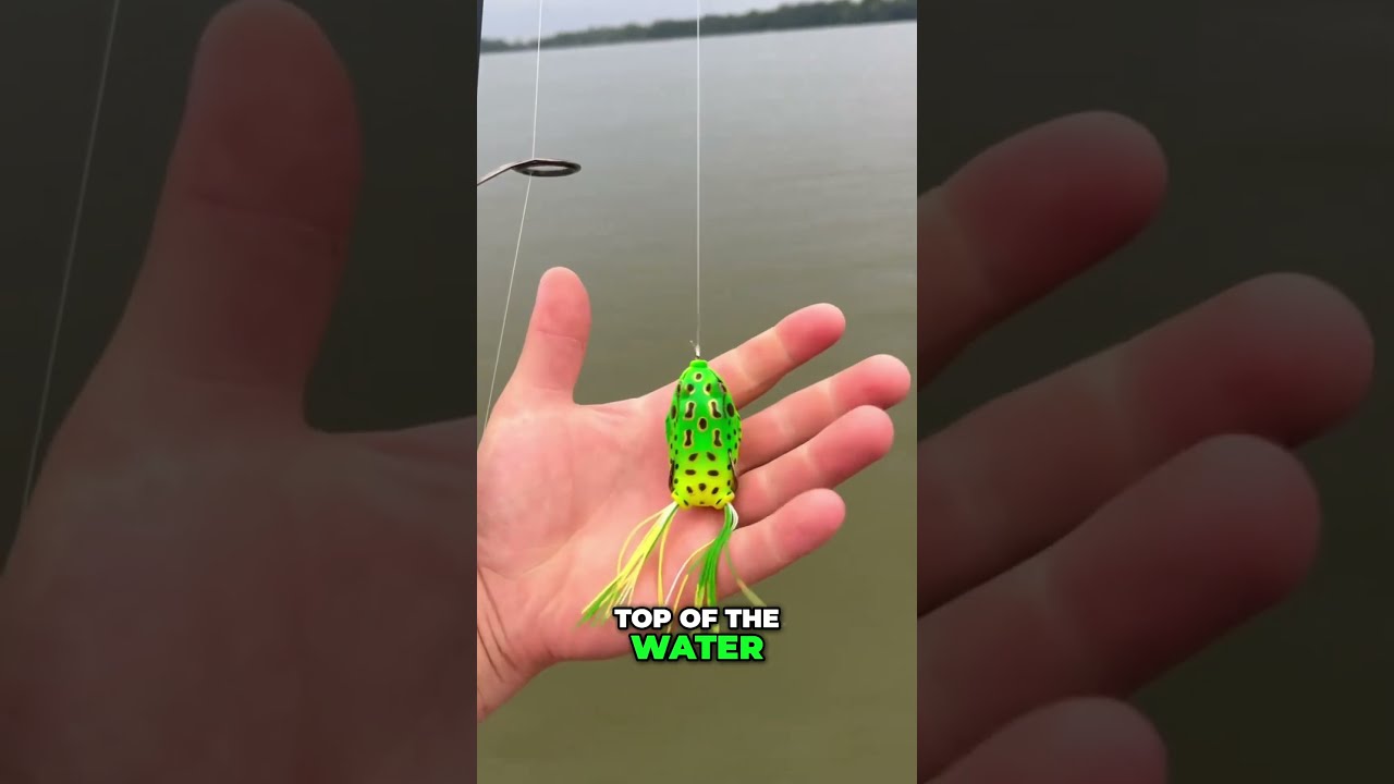 The Best Lures For Summer Bass Fishing Bassfishing