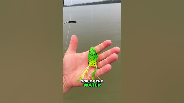 The Best Lures For Summer Bass Fishing! #bassfishing #fishing