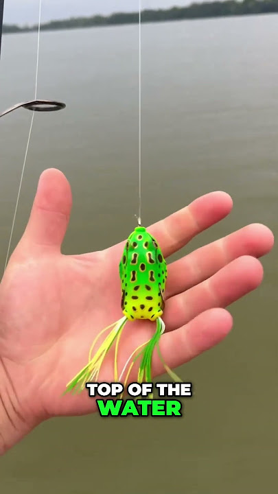 The Best Lures For Summer Bass Fishing! #bassfishing #fishing