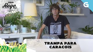 Como facer unha trampa de caracois para a horta