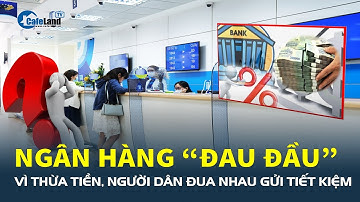 Kỷ lục mới: Người dân đua nhau gửi tiết kiệm, ngân hàng lại “ĐAU ĐẦU” vì thừa tiền | CafeLand