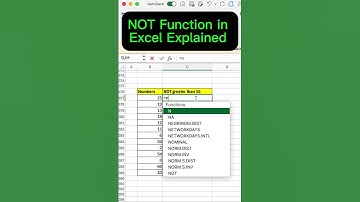 NOT Function in Excel - Explained