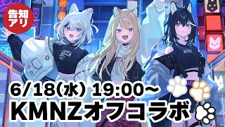 リタの配信のサムネイル画像