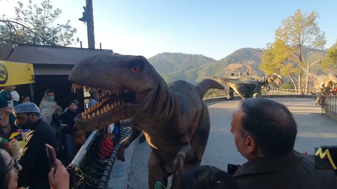 Dino Dance | Dino Valley | uncut  Full Video 2025 | For Kids