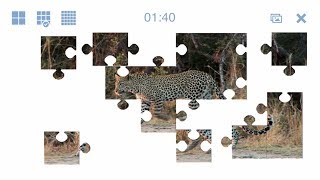 MoviePuzzles – Wild Animals (iOS/Android) screenshot 2
