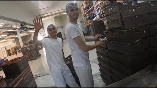 The Bread Factory packaging machine