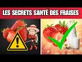 Alerte sant  les fraises amies ou ennemies  dcouvrez la vrit  fact24h