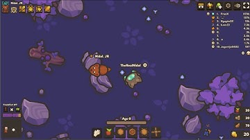 Taming.io for the first time