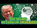 The Dark PSYCHOLOGY of Trump's "Negotiations"