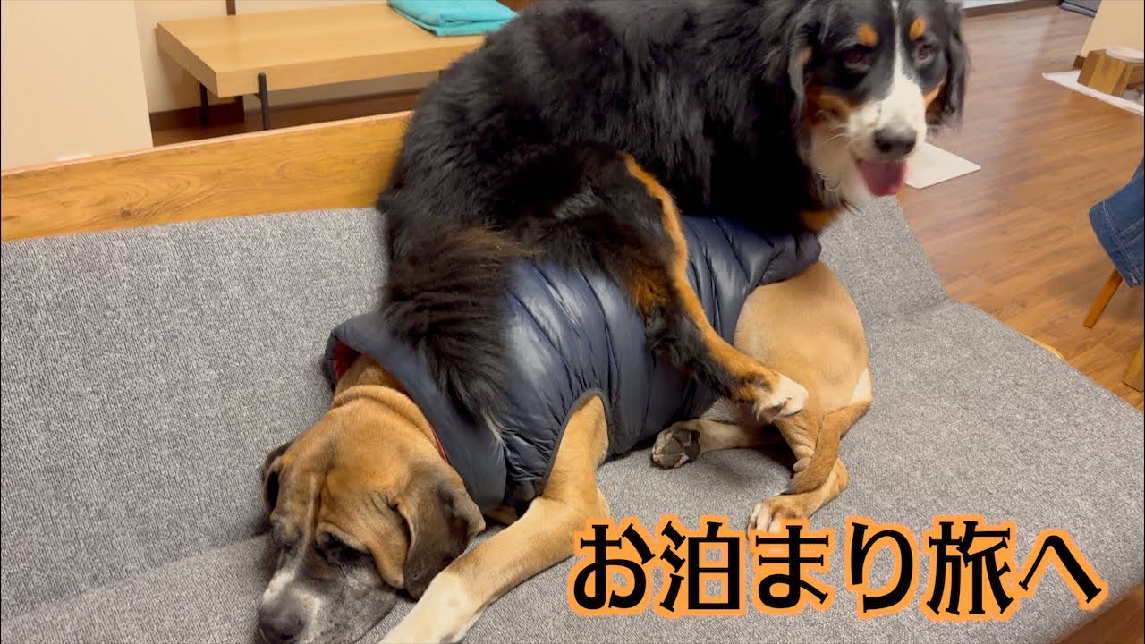 久しぶりの旅は楽しかった！