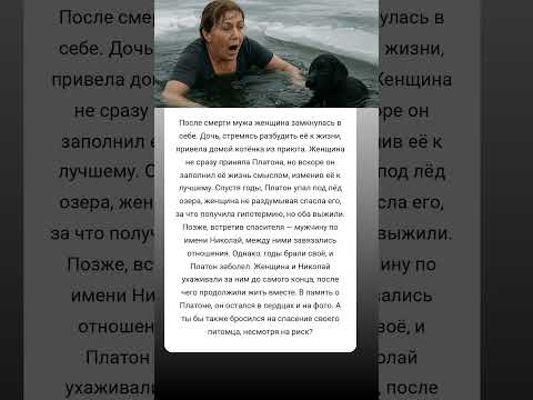 🐱 От потери к счастью: как котёнок вернул женщине смысл жизни #история #любовь #животные #собака