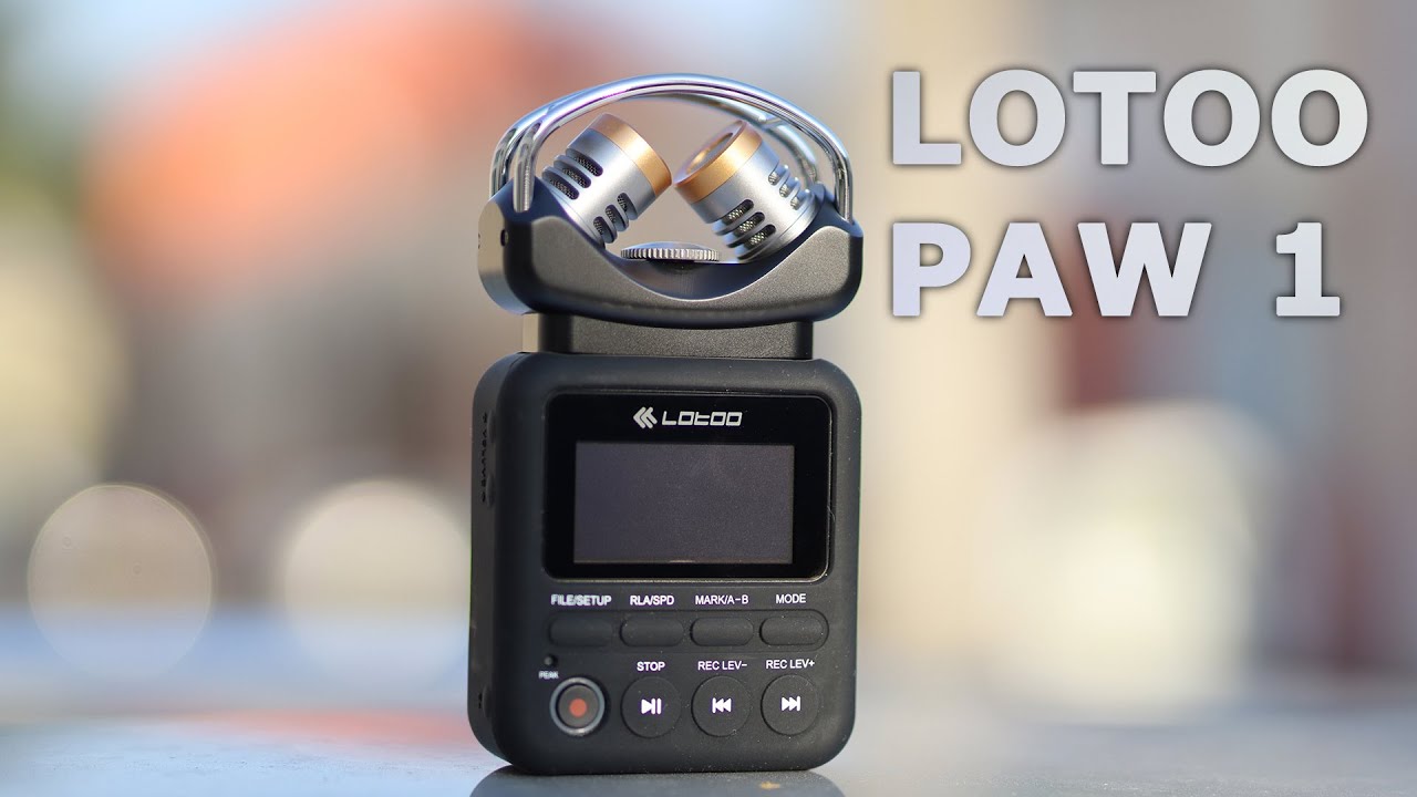 Lotoo PAW 1 XY Mic Player / Recorder - Records My Dreams