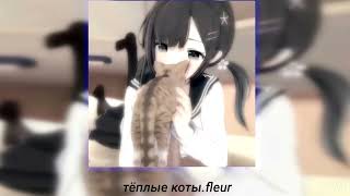 тёплые коты. fleur