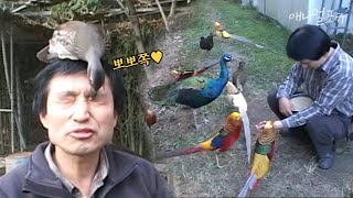 새한테 인기 대박 ㄷㄷ ;; 새들과 교감하는 레전드 아저씨 l KBS 주주클럽 060129 방송